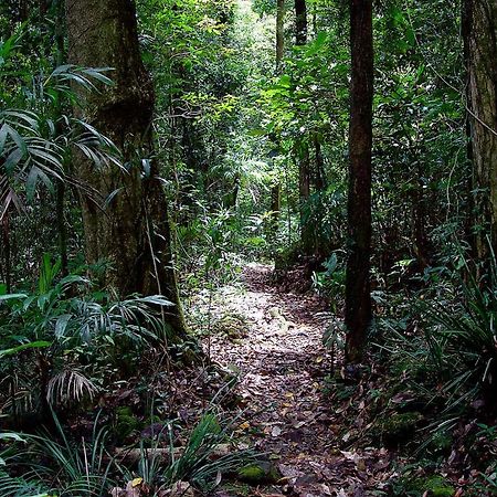 Springbrook Lyrebird Retreat Villa ภายนอก รูปภาพ