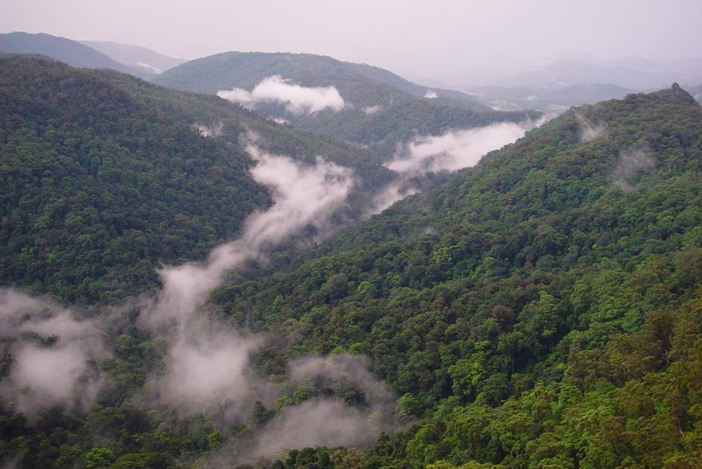 Springbrook Lyrebird Retreat Villa ภายนอก รูปภาพ