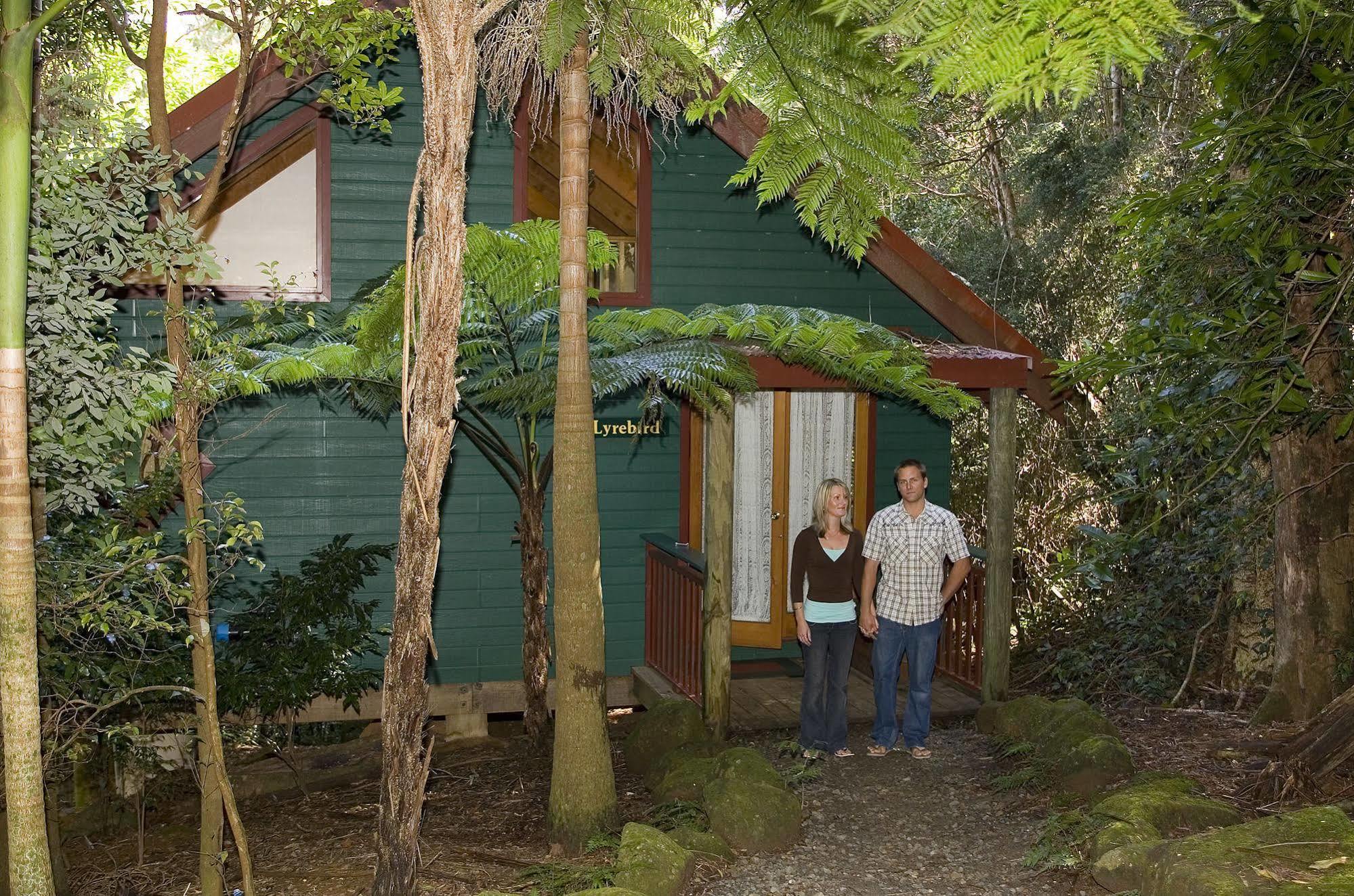 Springbrook Lyrebird Retreat Villa ภายนอก รูปภาพ