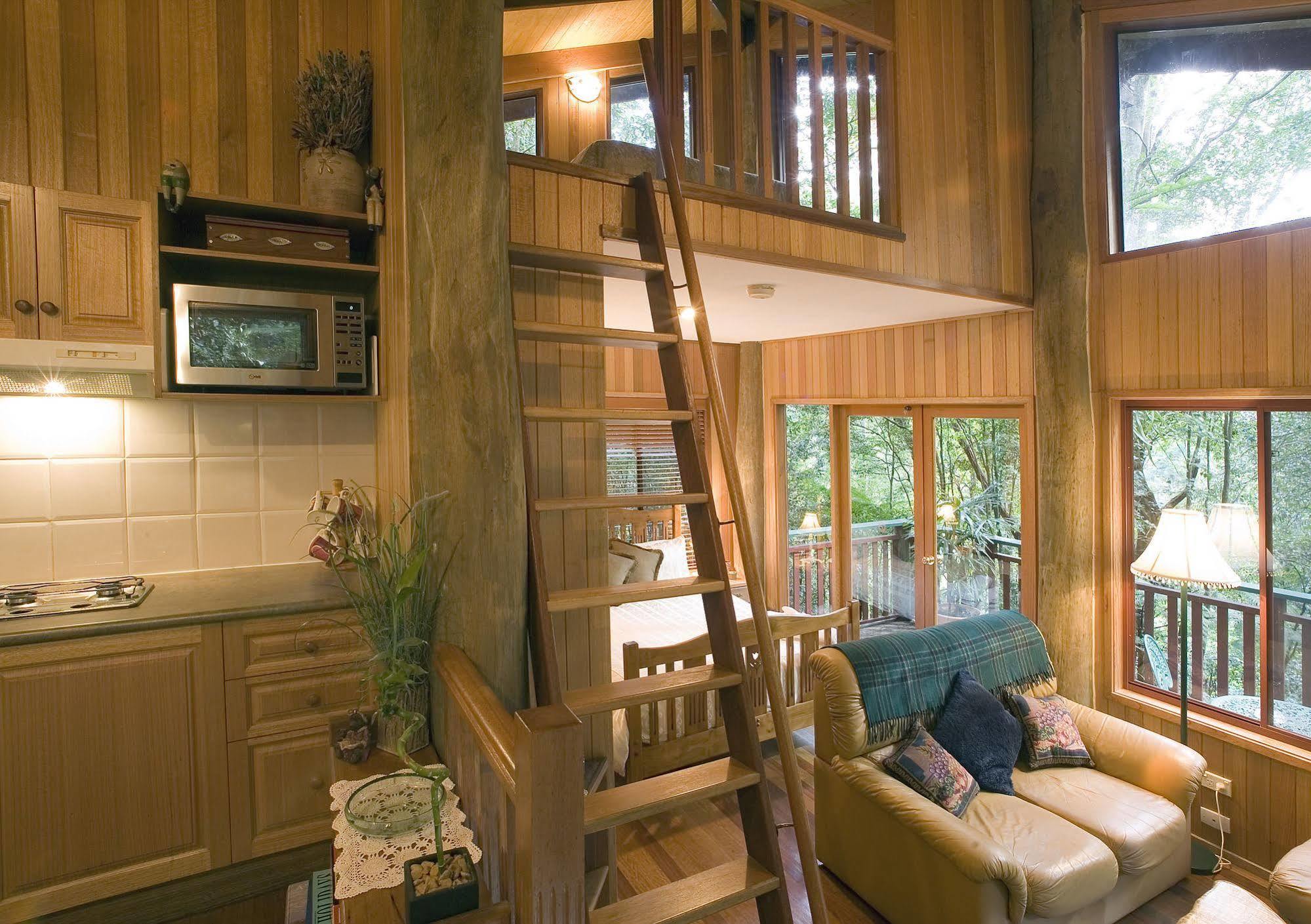 Springbrook Lyrebird Retreat Villa ภายนอก รูปภาพ