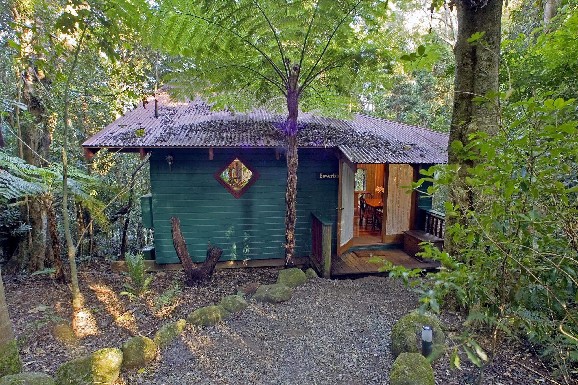 Springbrook Lyrebird Retreat Villa ภายนอก รูปภาพ