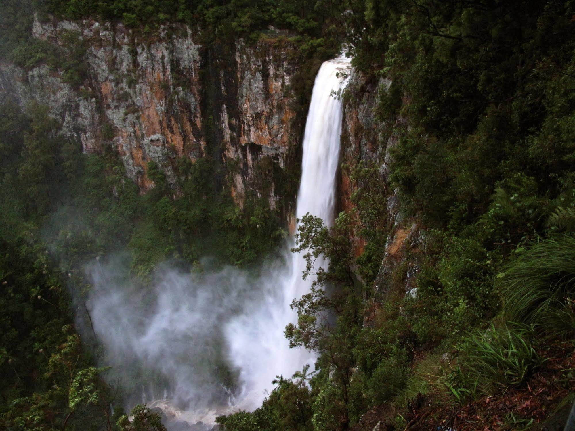 Springbrook Lyrebird Retreat Villa ภายนอก รูปภาพ