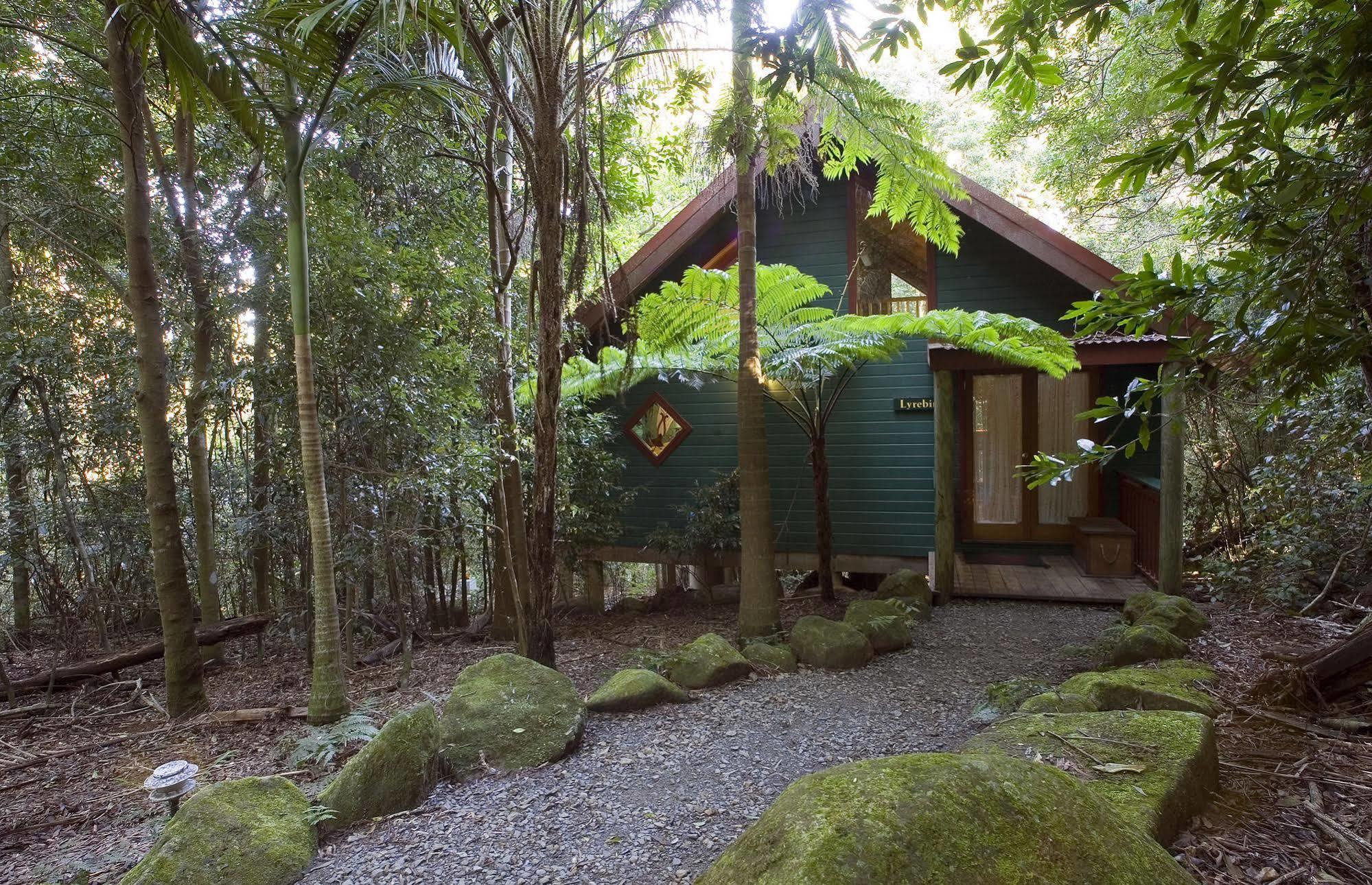 Springbrook Lyrebird Retreat Villa ภายนอก รูปภาพ