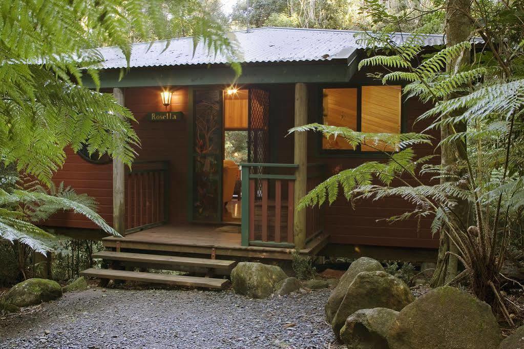 Springbrook Lyrebird Retreat Villa ภายนอก รูปภาพ