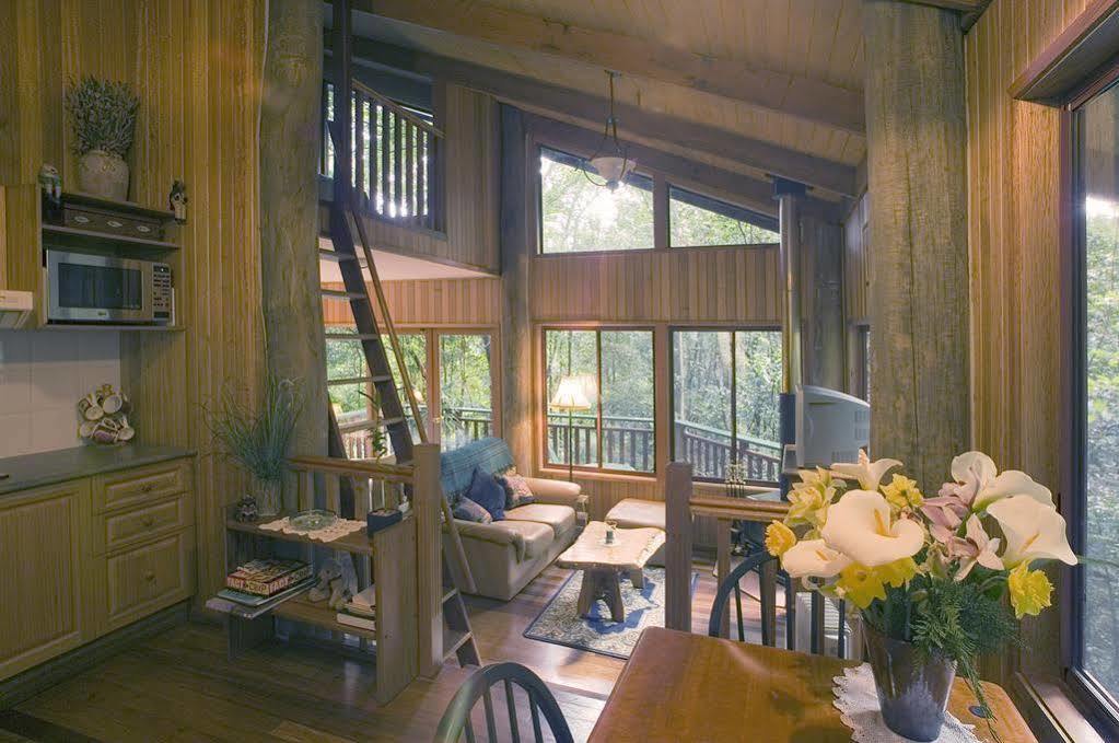 Springbrook Lyrebird Retreat Villa ภายนอก รูปภาพ