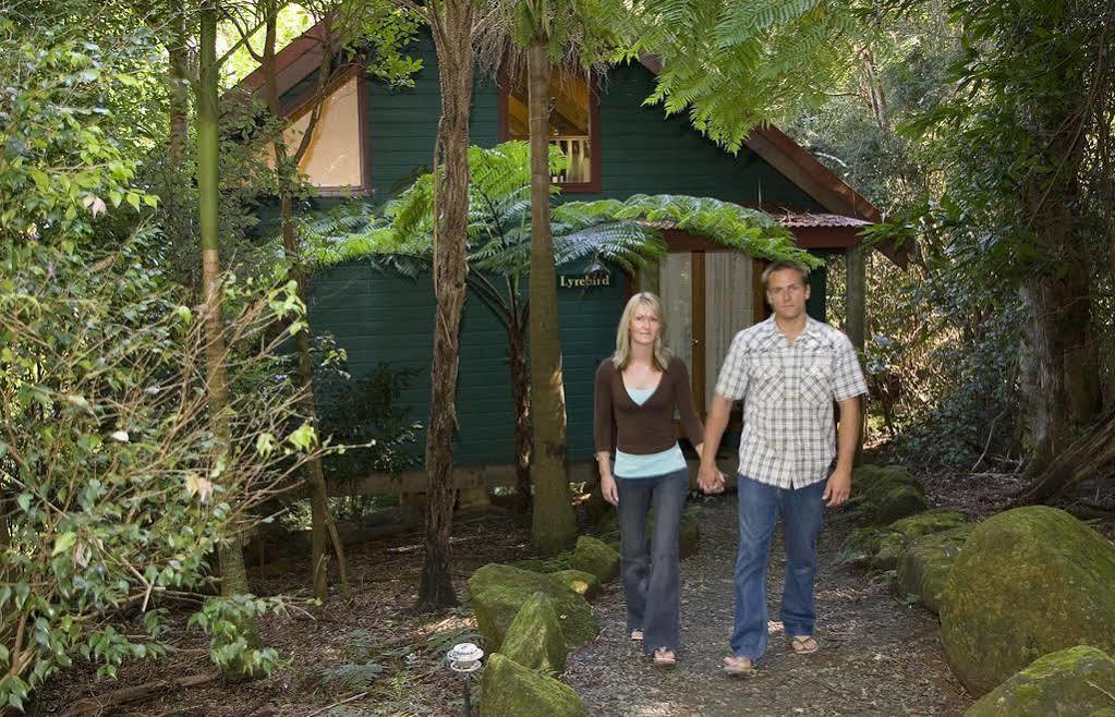 Springbrook Lyrebird Retreat Villa ภายนอก รูปภาพ
